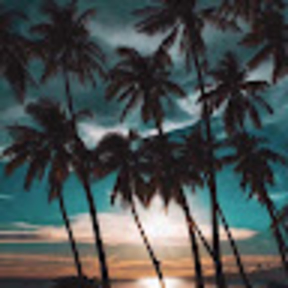 Profile Picture of S Nansen (@heather56321) on Poshmark