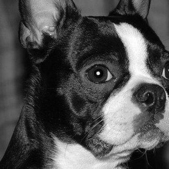 Profile Picture of Annette Whitbeck (@isaac6613) on Poshmark