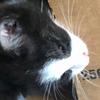 Profile Picture of user3910191290927 (@james.petitt) on Tiktok