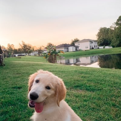 Profile Picture of Maverick James🏄🏼‍♂️🌊🐾 (@chasingmavvy) on Twitter