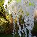 Profile Picture of Heidi McEvoy-Swift (@rojoart3) on Pinterest