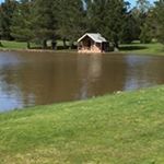 Profile Picture of Mandy Perkins (@mandyperkins7370) on Instagram