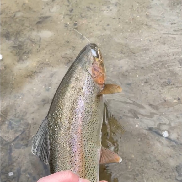 Profile Picture of Joshua Fresquez (@jfresh22) on Poshmark