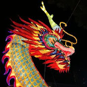 Profile Picture of Fu Wang (@fuwang7295) on Youtube