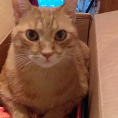 Profile Picture of Sherry Hebert (@@sherryhebert2) on Tiktok