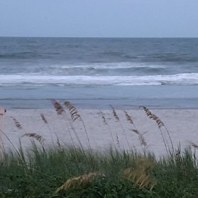 Profile Picture of Lisa Barker (@mbdayz) on Twitter