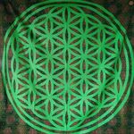 Profile Picture of crystal luce (@floweroflifebypleiadian) on Instagram