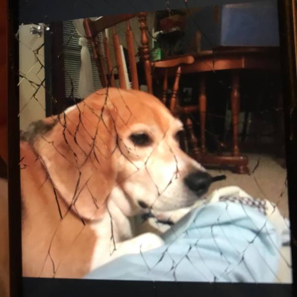 Profile Picture of Larry Bridges (@larrybridges496) on Poshmark