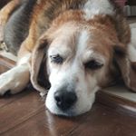 Profile Picture of Jim Devlin Sr. (@devlinsr.jim) on Instagram