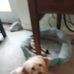 Profile Picture of Helen Hooks (@helen.hooks.982) on Facebook
