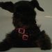 Profile Picture of L Dianne Foster Holt (@swkvoice) on Pinterest