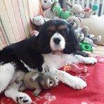 Profile Picture of Bernard Guzik (@bernard.guzik.3) on Facebook