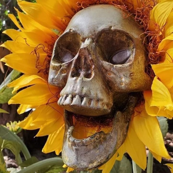 Profile Picture of David Harvin (@barbarossa_rex) on Poshmark