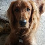 Profile Picture of Nancy Wojcik (@nancy.02.28) on Instagram