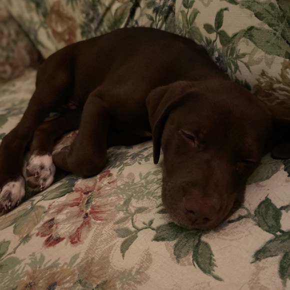 Profile Picture of Xander Schnaedter (@xander357) on Poshmark