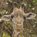 Profile Picture of Janice Duncan (@jaduncan61) on Flickr