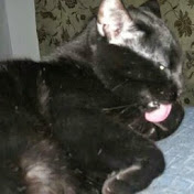 Profile Picture of Jacquelyn Purdy (@jacquelynpurdy5350) on Youtube