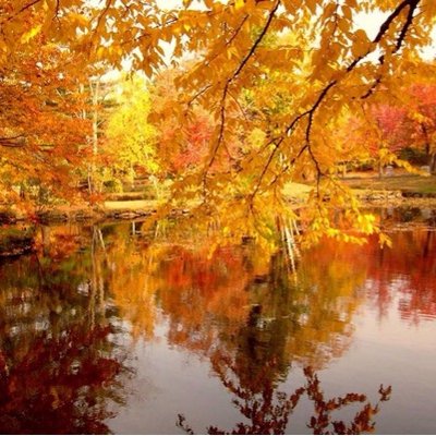 Profile Picture of Jean Yves Lambert (@jeflambert_jean) on Twitter