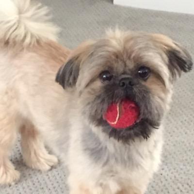 Profile Picture of Nathan Simons (@nathanksimons) on Twitter