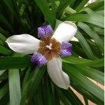 Profile Picture of Lori Mitchell Dwyer (@roybopdab633) on Instagram