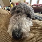 Profile Picture of Katelyn Baxter (@kb_fakeinsta) on Instagram