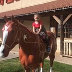 Profile Picture of Tony Olmos (@tony.o80) on Instagram