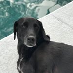 Profile Picture of Steven Boyne (@sjboyne) on Instagram