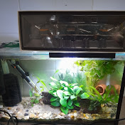 Profile Picture of Stephenkiernanbackup (@Stephenkiernanbackup) on Youtube