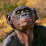 Profile Picture of Herbie Bovell (@herbie.bovell) on Facebook