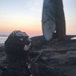 Profile Picture of Kate Rutledge (@katemaggsrut) on Instagram
