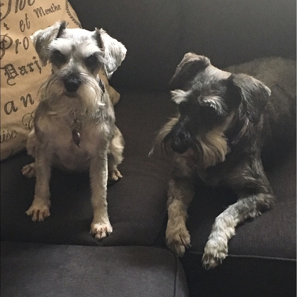 Kelly Pfannenstein - Poshmark Profile Picture of Kelly Pfannenstein (@kellypfun) on Poshmark