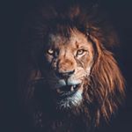 Profile Picture of Bob Clement (@bobclemnt) on Instagram