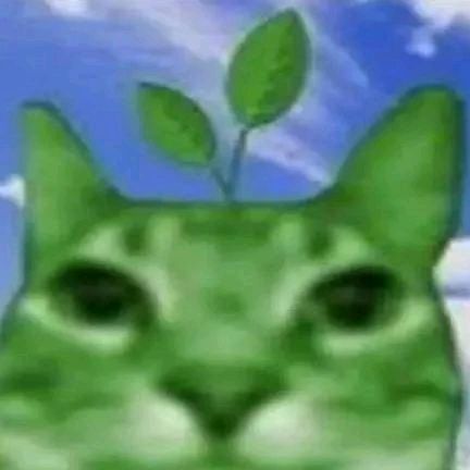 Profile Picture of cat (@carl_is_cool0) on Tiktok