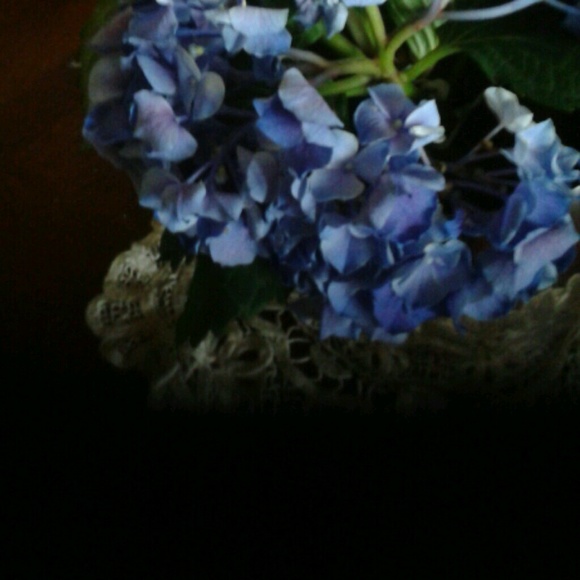 Profile Picture of Lisa Ficarri (@lisa040467) on Poshmark