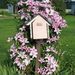 Profile Picture of Janette Kipp (@jlkipp) on Pinterest