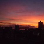 Profile Picture of Ricardo Viani (@2223ricardo) on Instagram