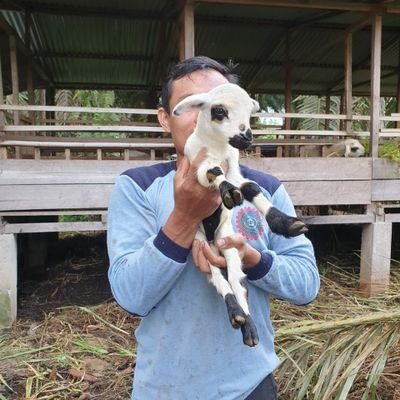 Profile Picture of Ahmad Iqbal (@iqbalmad) on Twitter