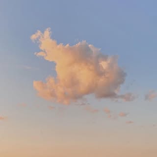 Adam Meyer - Instagram Profile Picture of Adam Meyer (@admmyr) on Instagram