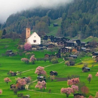 Profile Picture of Mohammad Reza Mozaffar Magham (@Mm10464489) on Twitter