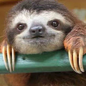 Profile Picture of Matthew Derby (@matthewderby7768) on Youtube