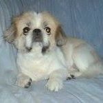 Profile Picture of Anthea Leung (@anthea.leung.37) on Instagram