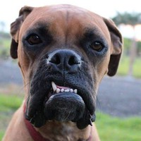 Profile Picture of Mikel Atkinson (@mikel-atkinson-1) on Quora