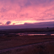 Profile Picture of Alexander Hurtado (@alexanderhurtado8725) on Youtube