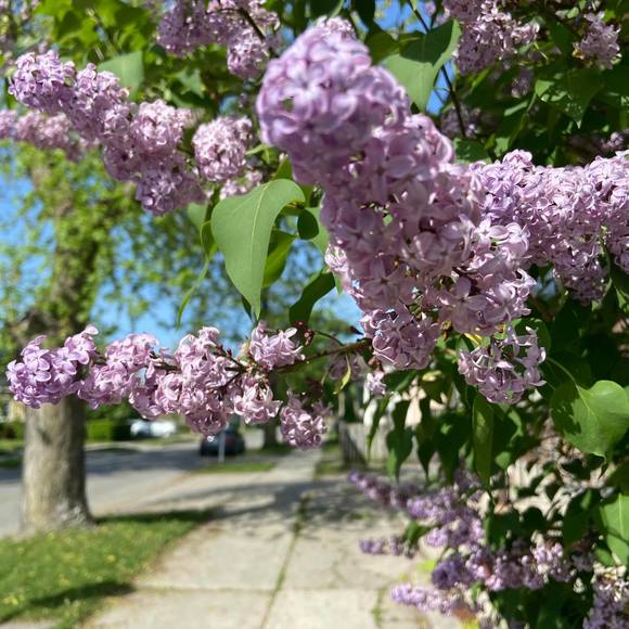 Profile Picture of Bobbie Sobek (@bobbie_sobek) on Poshmark