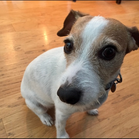 Profile Picture of Jason Schnell (@jasonschnell) on Poshmark