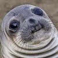Profile Picture of Kevin Ip (@kevin-ip-9) on Quora