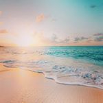 Profile Picture of Sara Sulemanjee (@sara.s_496) on Instagram