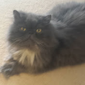 Profile Picture of Jonah Coleman (@jonahcoleman1082) on Youtube