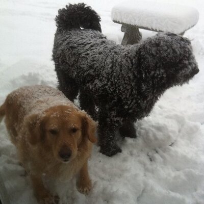 Profile Picture of Margie McBride Anderson (@mmma05) on Twitter