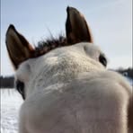 Profile Picture of Scott Kinyon (@scott.kinyon.3) on Facebook